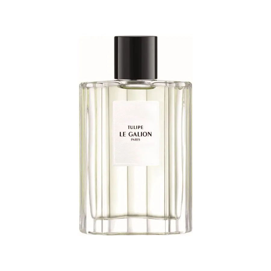 Le Galion Tulipe